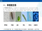 浙教版七年级科学上册同步精品课堂 2.6物种的多样性（课件）