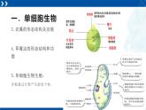 浙教版七年级科学上册同步精品课堂 2.6物种的多样性（课件）