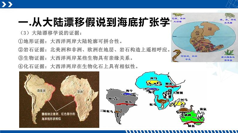 浙教版七年级科学上册同步精品课堂 3.6地球表面的板块（课件）05