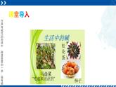 浙教版九年级科学上册同步精品课堂 1.4常见的碱（备课件）（课件）