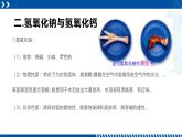 浙教版九年级科学上册同步精品课堂 1.4常见的碱（备课件）（课件）