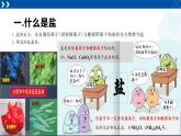 浙教版九年级科学上册同步精品课堂 1.6几种重要的盐（备课件）（课件）