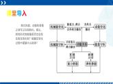 浙教版九年级科学上册同步精品课堂 3.8能量的转化与守恒（课件）