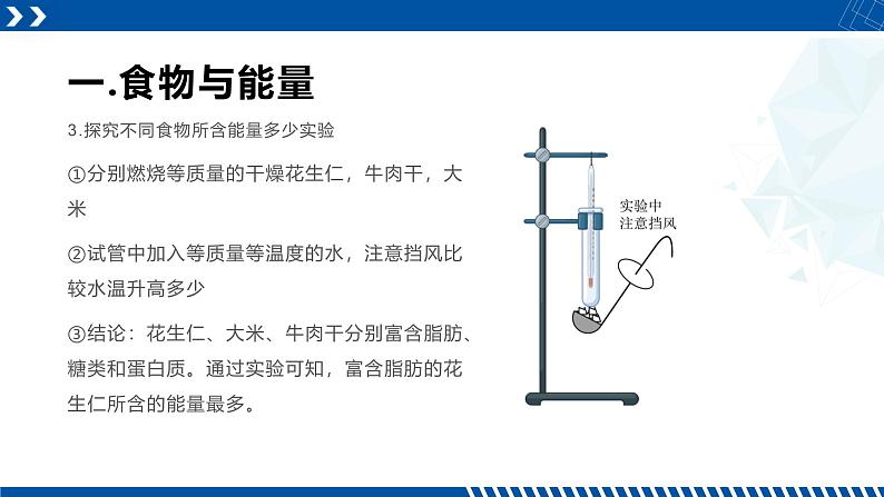 浙教版九年级科学上册同步精品课堂 4.1食物与营养（课件）05