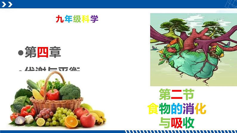 浙教版九年级科学上册同步精品课堂 4.2食物的消化与吸收（课件）01