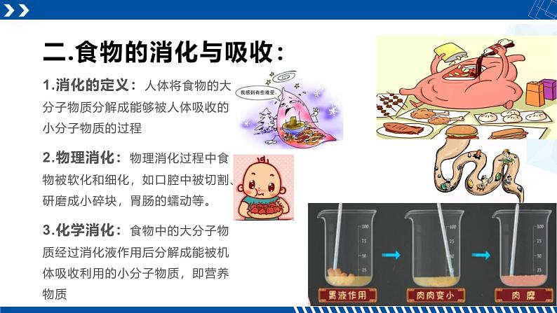 浙教版九年级科学上册同步精品课堂 4.2食物的消化与吸收（课件）07