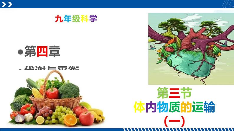 浙教版九年级科学上册同步精品课堂 4.3.1体内物质的运输（一）（课件）01