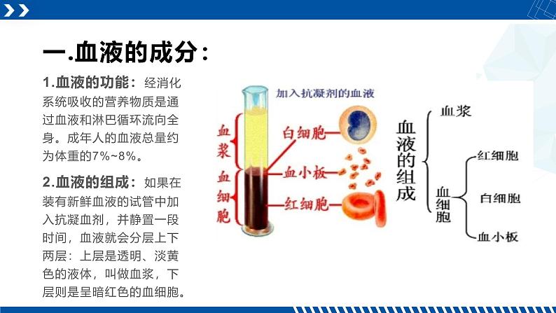 浙教版九年级科学上册同步精品课堂 4.3.1体内物质的运输（一）（课件）04
