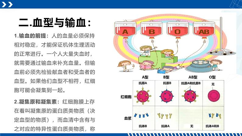 浙教版九年级科学上册同步精品课堂 4.3.1体内物质的运输（一）（课件）06