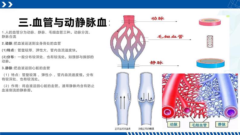 浙教版九年级科学上册同步精品课堂 4.3.1体内物质的运输（一）（课件）08