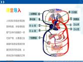 浙教版九年级科学上册同步精品课堂 4.3.2体内物质的运输（二）（课件）