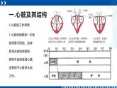 浙教版九年级科学上册同步精品课堂 4.3.2体内物质的运输（二）（课件）