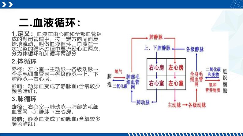 浙教版九年级科学上册同步精品课堂 4.3.2体内物质的运输（二）（课件）06