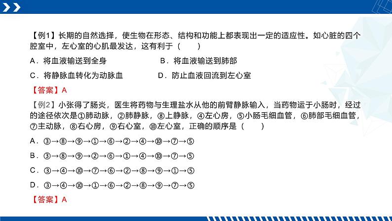 浙教版九年级科学上册同步精品课堂 4.3.2体内物质的运输（二）（课件）08