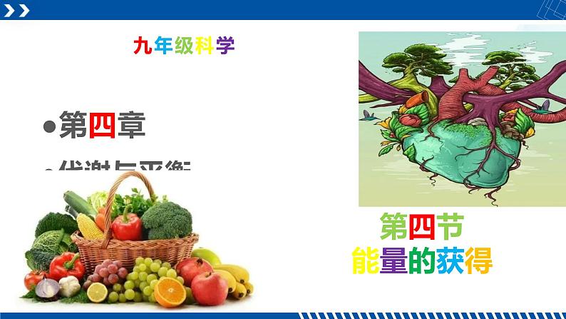浙教版九年级科学上册同步精品课堂 4.4能量的获得（课件）01