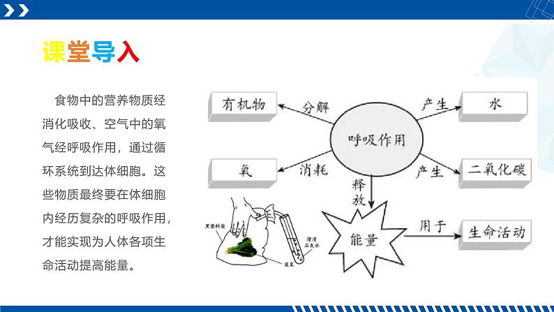 浙教版九年级科学上册同步精品课堂 4.4能量的获得（课件）02