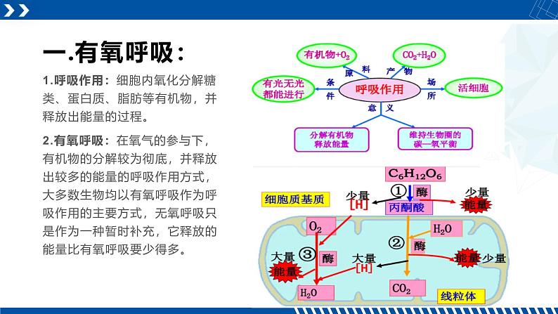 浙教版九年级科学上册同步精品课堂 4.4能量的获得（课件）04
