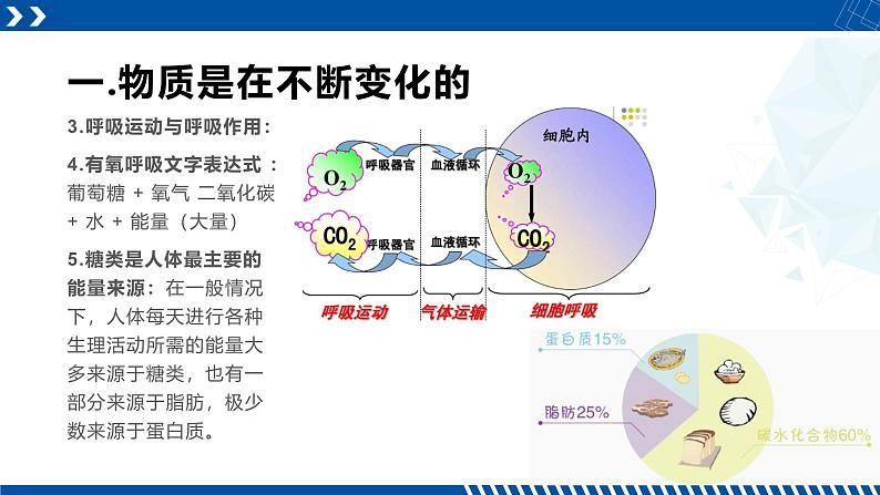 浙教版九年级科学上册同步精品课堂 4.4能量的获得（课件）05
