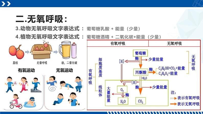 浙教版九年级科学上册同步精品课堂 4.4能量的获得（课件）07