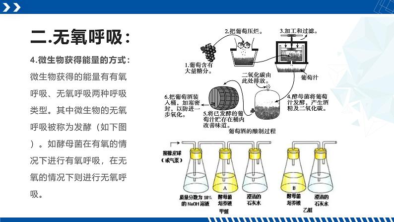 浙教版九年级科学上册同步精品课堂 4.4能量的获得（课件）08