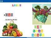 浙教版九年级科学上册同步精品课堂 4.5体内物质的动态平衡（课件）
