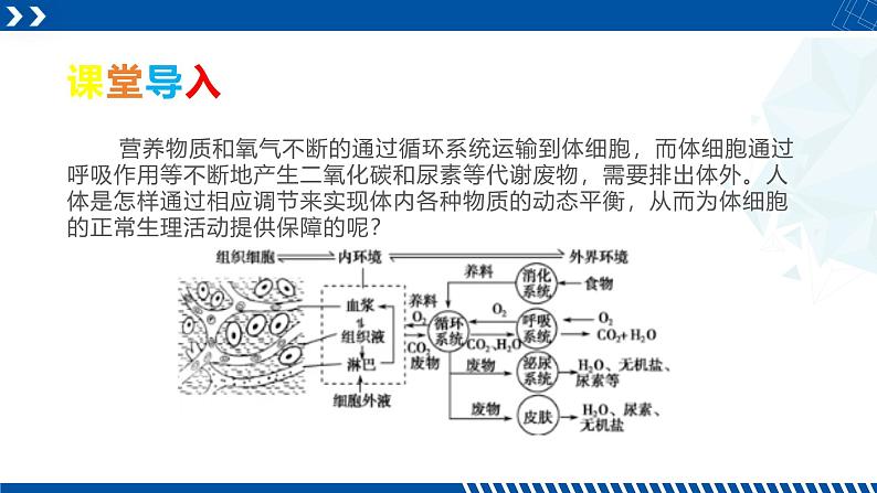 浙教版九年级科学上册同步精品课堂 4.5体内物质的动态平衡（课件）02