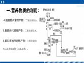 浙教版九年级科学上册同步精品课堂 4.5体内物质的动态平衡（课件）