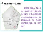 2.1 生物体的基本单位（第3课时）-初中科学七年级上册 同步教学课件+素材（浙教版2024）