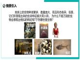 2.1 生物体的基本单位（第1课时）-初中科学七年级上册 同步教学课件+素材（浙教版2024）