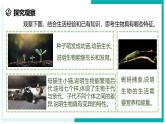 2.1 生物体的基本单位（第1课时）-初中科学七年级上册 同步教学课件+素材（浙教版2024）