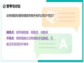 2.1 生物体的基本单位（第4课时）-初中科学七年级上册 同步教学课件（浙教版2024）