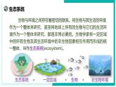 2.5 生物的多样性（第2课时）-初中科学七年级上册 同步教学课件+素材（浙教版2024）