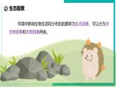 2.5 生物的多样性（第1课时）-初中科学七年级上册 同步教学课件+素材（浙教版2024）