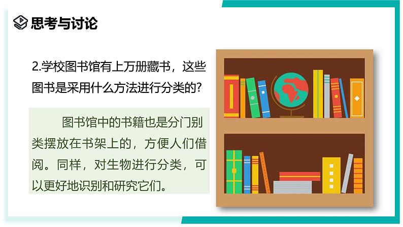 2.4 生物的分类-初中科学七年级上册 同步教学课件+素材（浙教版2024）03