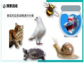 2.4 生物的分类-初中科学七年级上册 同步教学课件+素材（浙教版2024）