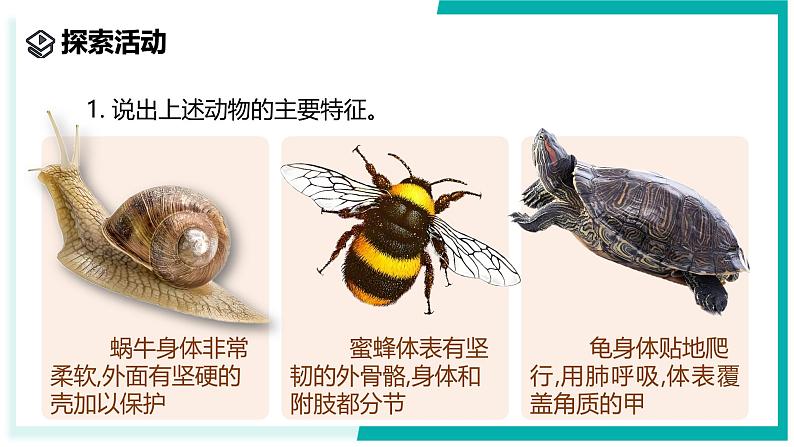 2.4 生物的分类-初中科学七年级上册 同步教学课件+素材（浙教版2024）06