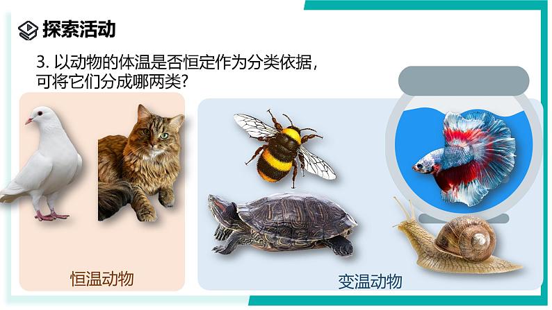 2.4 生物的分类-初中科学七年级上册 同步教学课件+素材（浙教版2024）08