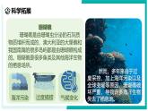 2.3 多姿多彩的动物（第1课时）-初中科学七年级上册 同步教学课件+素材（浙教版2024）