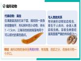 2.3 多姿多彩的动物（第1课时）-初中科学七年级上册 同步教学课件+素材（浙教版2024）