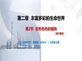 2.2 形形色色的植物（第2课时）-初中科学七年级上册 同步教学课件+素材（浙教版2024）