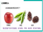 2.2 形形色色的植物（第2课时）-初中科学七年级上册 同步教学课件+素材（浙教版2024）