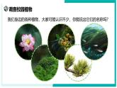 2.2 形形色色的植物（第1课时）-初中科学七年级上册 同步教学课件（浙教版2024）
