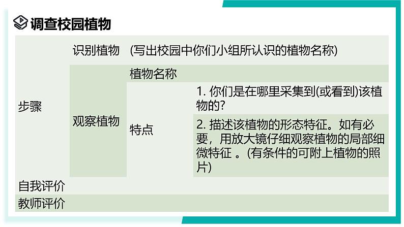 2.2 形形色色的植物（第1课时）-初中科学七年级上册 同步教学课件（浙教版2024）06