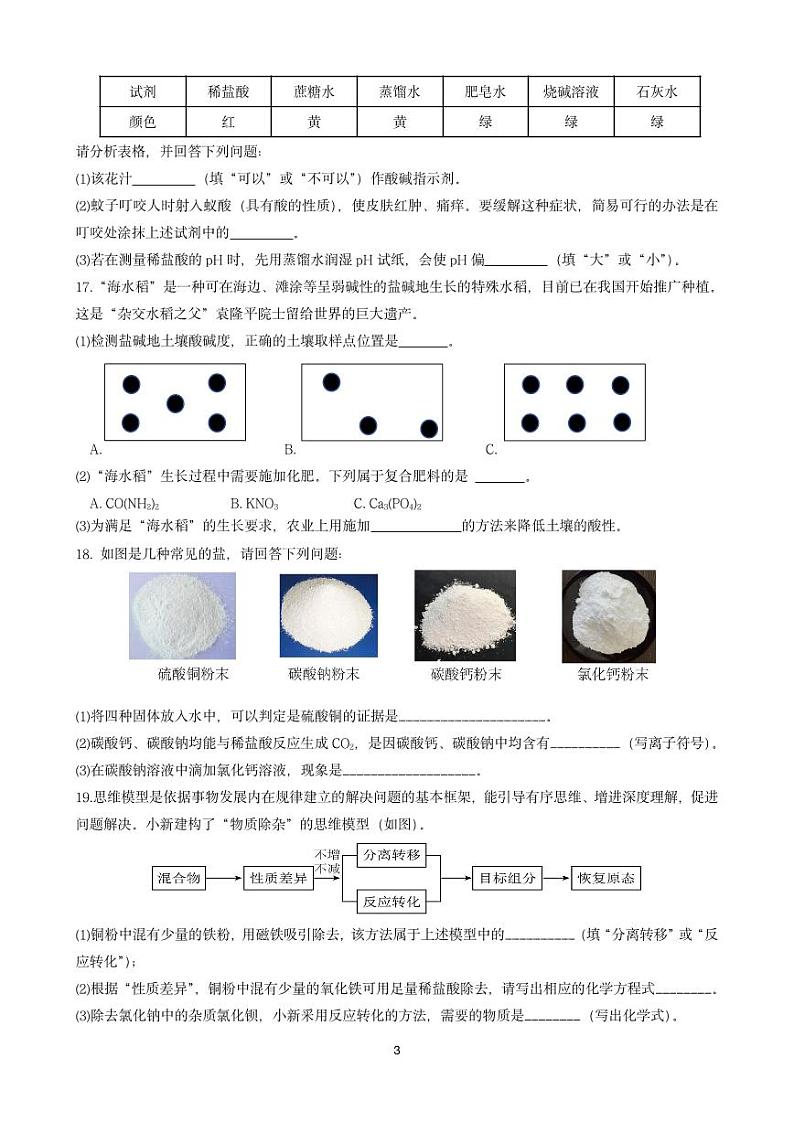 2024-2025浙江省温州市瑞安新纪元学校九年级第一次双减作业质量监测科学学科试卷第3页