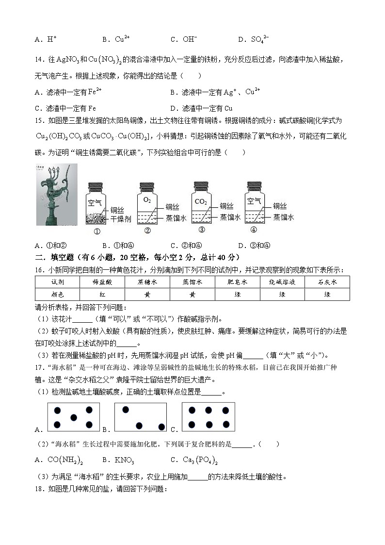 浙江省温州市瑞安市新纪元实验学校2024-2025学年九年级上学期9月月考科学试卷第3页