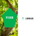 【核心素养】浙教版科学七年级上册 2.3 多姿多彩的动物（第1课时）（教学课件+教学设计+同步练习）