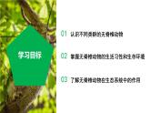 【核心素养】浙教版科学七年级上册 2.3 多姿多彩的动物（第1课时）（教学课件+教学设计+同步练习）