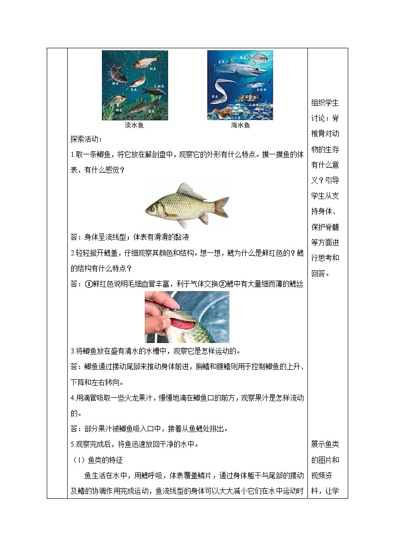 【核心素养】浙教版科学七年级上册 2.3 多姿多彩的动物（第2课时）（教学课件+教学设计+同步练习）03