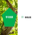【核心素养】浙教版科学七年级上册 2.3 多姿多彩的动物（第2课时）（教学课件+教学设计+同步练习）