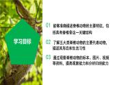【核心素养】浙教版科学七年级上册 2.3 多姿多彩的动物（第2课时）（教学课件+教学设计+同步练习）